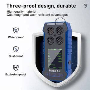 BH-4S Portable Multi-gas Detector