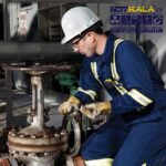 گاز سنج Honeywell H2S مدل BW Solo