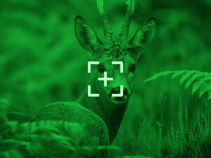 دوربین دید در شب (Night Vision) چیست؟